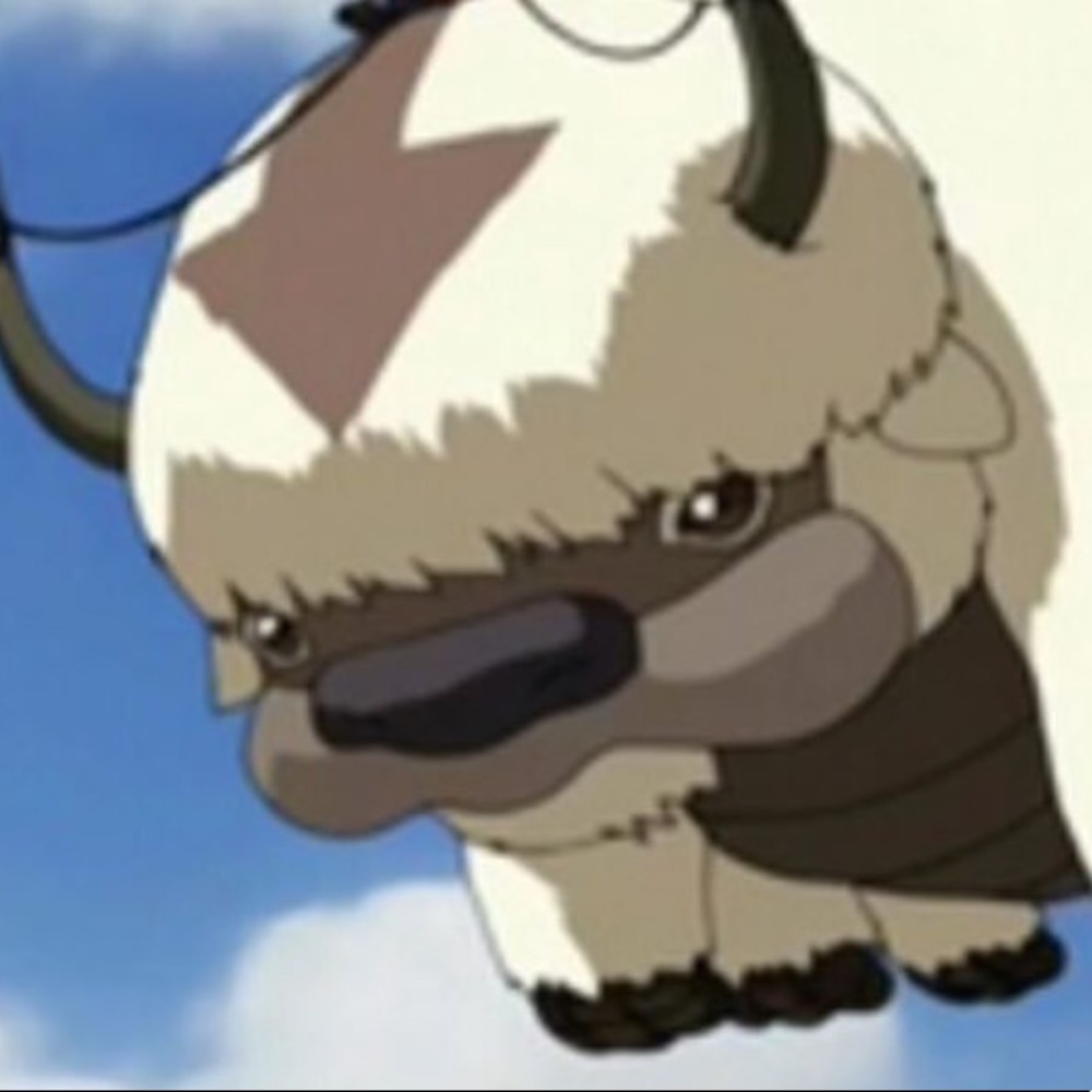 Meet your Posher, Ann